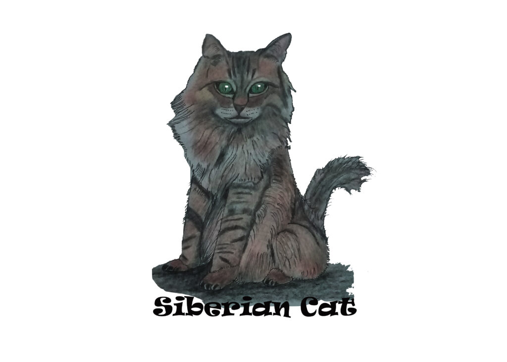 Siberian cat